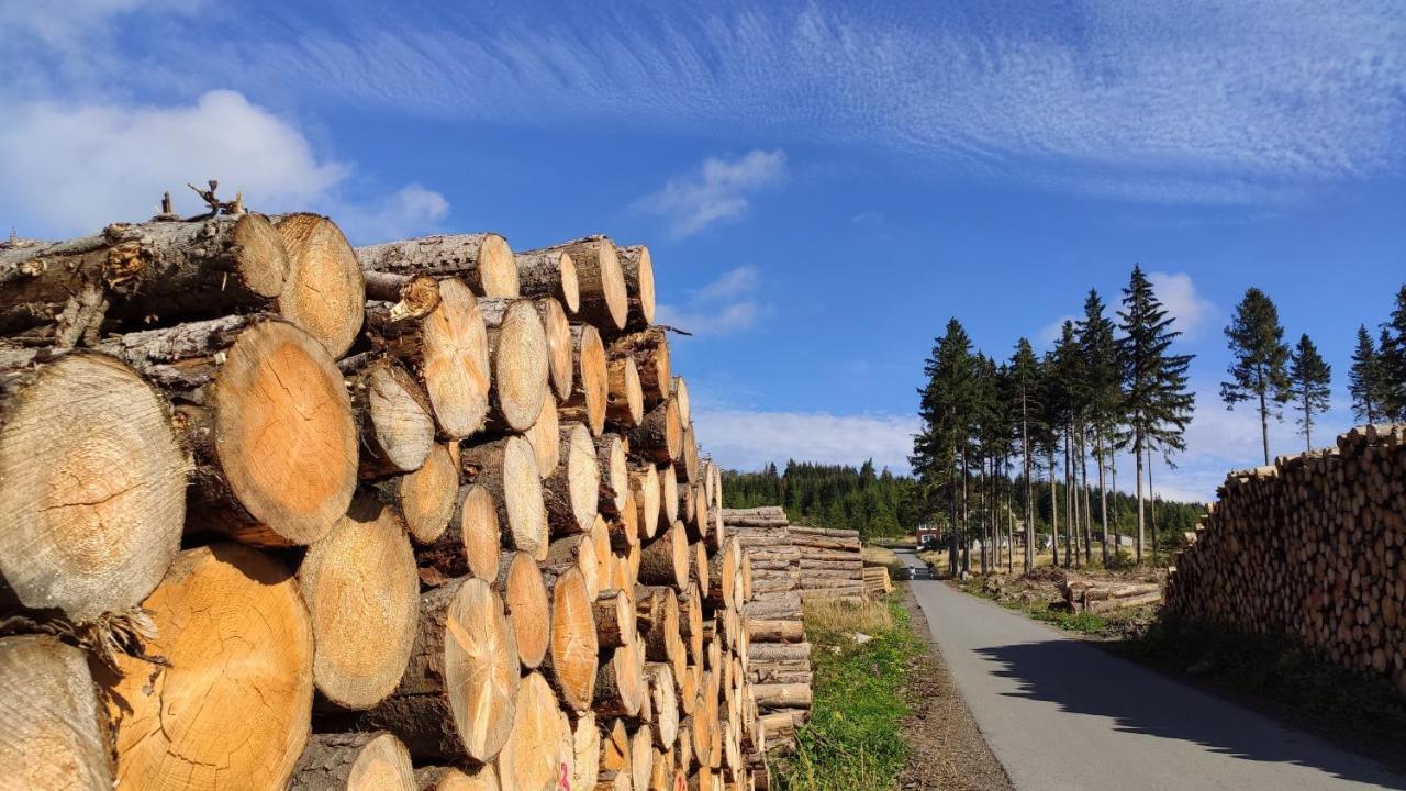 דירות בראונלאגה Harz Blick מראה חיצוני תמונה